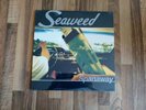 Seaweed Vinyl LP Spanaway US 1995 NM++/Mint