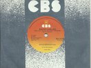 BRUCE SPRINGSTEEN   SOUTH  AFRICA    45   SHERRY DARLING    MINT