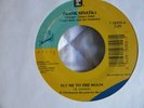 45.  FRANK SINATRA    FLY ME TO THE MOON  rare 