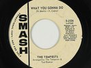 Northern Soul 45 - Tempests - What You Gonna Do - Smash - mp3