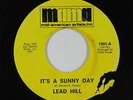 Northern Soul/Psych 45 - Lead Hill - It's A Sunny Day - MAMA - mp3 - obscure