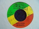 Jah Screechy - Walk & Skank 1984 JA 45 BLACKER DREAD DUB/ROOTS