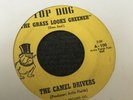 1960s Garage Punk Mod 45 The Camel Drivers It’s Gonna Rain Top Dog