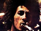 ID99z - Bob Marley  The Wailers - Catch A Fire - vinyl LP - New