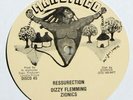 Dizzy Flemming Zionics/Mikey Jarrett 