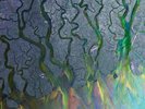 Alt-j - An Awesome Wave (LP+MP3) Vinyl LP Pias/Infec NEW