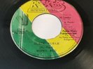 RARE 70s ROOTS REGGAE - BLACK FORCE - NORRIS REID 7