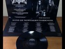 IMMORTAL - Pure Holocaust * LP *