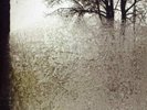 BON IVER - FOR EMMA FOREVER AGO - VINYL LP *BRAND NEW & SEALED*