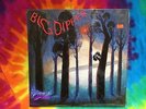 BIG DIPPER HEAVENS HOMESTEAD HMS 086 RARE LP ALTERNATIVE  NM- / NM- IN SHRINK