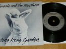 SIOUXSIE AND THE BANSHEES - HONG KONG GARDEN - GATEFOLD - EXCELLENT - 1978