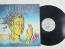 Neuron For What We Are LP Record Album 1980 Erect 1000A VG+