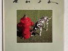 Rush - Signals - vinyl