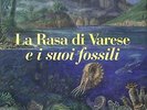 La Rasa di Varese e i Suoi Fossili - [Macchione Editore]