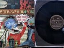Badly Drawn Boy-Have You Fed The Fish? TNXLLP156  UK LP
