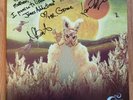 MR. GNOME Madness In Miniature LP SIGNED 2011 coke bottle vinyl ALTERNATIVE ROCK