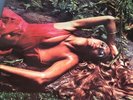 Roxy Music Stranded Glam Pop LP Rock Record Vinyl Gatefold Glam