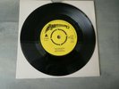 The Pathetix ?– Love In Decay 7 inch single punk new wave kbd