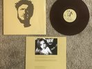 JOEY CAPE Bridge 12” LP Record 2014 Fat Wreck Chords Rare Brown Vinyl Lageagon