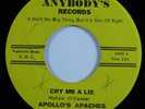 Garage Mod Psych 45 APOLLO'S APACHES Cry Me A Lie ANYBODY'S HEAR