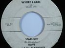 Instrumental Rockabilly Garage 45 DAVE/THE STARLIGHTS Starlight WHITE LABEL HEAR