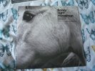BONNY LIGHT HORSEMAN SAME TITLE LP RARE WHITE VINYL MIN BID 40.00