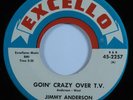 R&B Blues 45 JIMMY ANDERSON Goin' Crazy Over T.V. EXCELLO HEAR