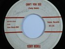 Rockabilly 45 TEDDY REDELL Can't You See VADEN HEAR