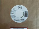 Vertical Horizon 45 Everything You Want / You're a God rock RCA NEW unplayed
