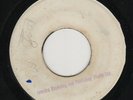 ROY RICHARDS & THE INVADERS - FAT DOG / LARRY MARSHALL - MAGA DOG - STUDIO ONE