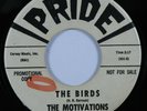 Instrumental Surf Garage 45 MOTIVATIONS The Birds PRIDE VG++ promo HEAR