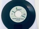 Dottie And Millie Nothing In This World Reissue 7 Inch Vinyl
