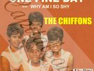 60S US R/B GIRL GROUP SOUND POP LAURIE THE CHIFFONS ONE FINE DAY PICTURE SLEEVE