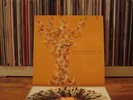 american analog set everything ends in spring splatter vinyl record 2006