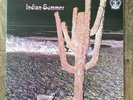 Indian Summer ?– Indian Summer LP UK 1st 1971 Excellent  RCA ?– NE 3, Neon