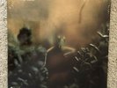 STEELY DAN - KATY LIED - NR MINT - UNPLAYED - ABCD-846 - SHRINK - KENDUN MASTER