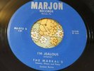 Primitive PA Garage Punk Ripper 45 The Markal's I'm Jealous MARJON NM HEAR