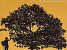 JACK JOHNSON - In Between Dreams VINYL LP BRAND NEW SEALED