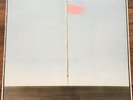 Wire - Pink Flag LP [Vinyl New] Record Album EU Import Punk/New Wave