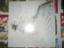 THE BLACK HEART REBELLION Har Nevo COL LP birds in row celeste envy oathbreaker