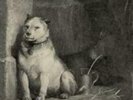 Pavlov's Dog: Pampered Menial (Coloured)  LP vinyl