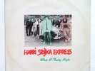 HARRI STOJKA EXPRESS 'What A Funky Night' 12