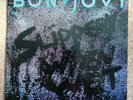 SLIPPERY WHEN WET - BON JOVI ORIGINAL VINYL LP VERTIGO VERH38 MINT COND. 