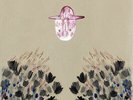 Devendra Banhart : Smokey Rolls Down Thunder Canyon VINYL 12