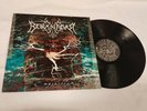 Borknagar - Empiricism - GER-2001 (Top Condition )
