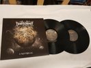 Borknagar - Universal - NOR-2010 (Top Condition )