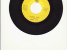 Larry Lynn- Diamond Lady/Back On Street- 1971 Private Hard Garage Rock/Psych 45