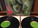 fiona apple extraordinary machine vinyl record 2005 epic clean slate