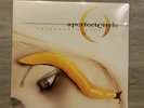 a perfect circle thirteenth step Vinyl