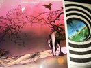 JANNE SCHAFFER : THE CHINESE LP 1974 VERTIGO 6360107 UK